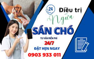 DẤU HIỆU NHIỄM SÁN CHÓ ? NGUYÊN NHÂN , CÁCH ĐIỀU TRỊ SÁN CHÓ HIỆU QUẢ 